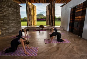 Yoga-Gruppe in modernem Studioraum mit großer Fensterfront und Bergblick
