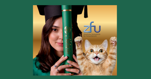 Zertifizierter Katzenverhaltensberater / Katzencoach