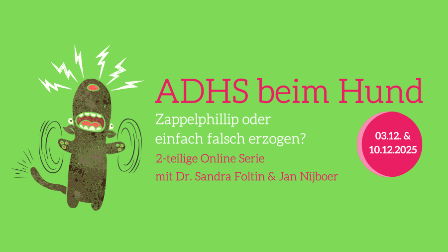 Hero-Banner zum Online-Kurs ADHS beim Hund mit Cartoon-Hund und Kursdetails