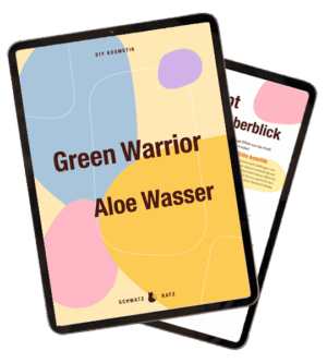 E-Book Cover Green Warrior Aloe Wasser mit geometrischen Formen in Blau, Gelb und Rosa