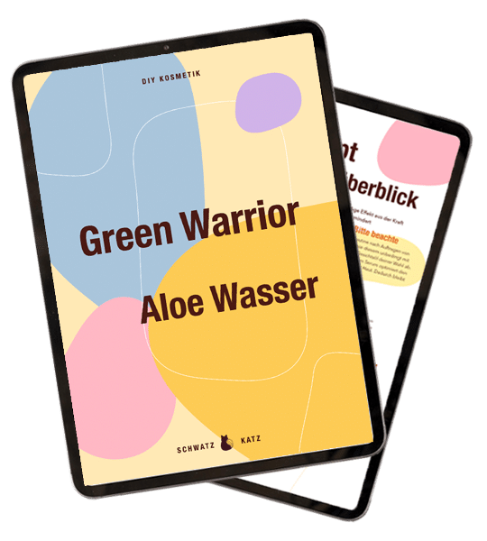 E-Book Cover Green Warrior Aloe Wasser mit geometrischen Formen in Blau, Gelb und Rosa