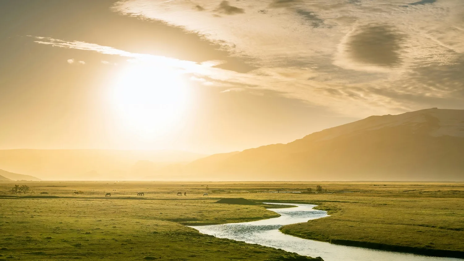 Weitwinkelaufnahme einer grünen Flusslandschaft mit Berg und Sonnenlicht, goldene Stimmung