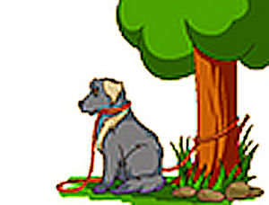 Grauer Hund sitzt unter Baum an roter Leine, reduzierte Illustration