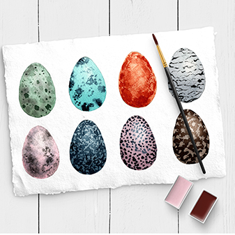 Acht aquarellierte Vogeleier mit verschiedenen Mustern und Farben auf Papier