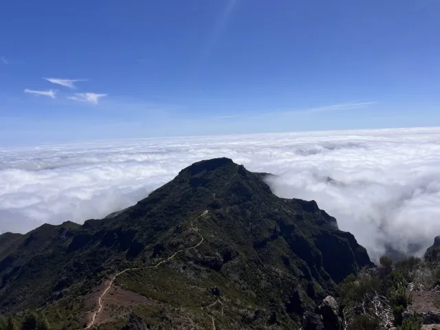 Berglandschaft über Wolkendecke mit grünem Gipfel unter klarem blauem Himmel