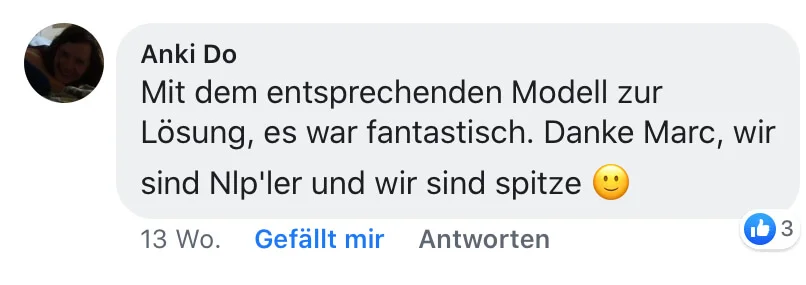 Facebook-Kommentar von Anki Do über NLP-Modell und Lösungsansatz