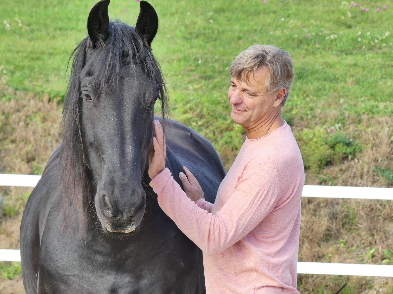 Reifer Mann beruhigt schwarzes Pferd auf Koppel