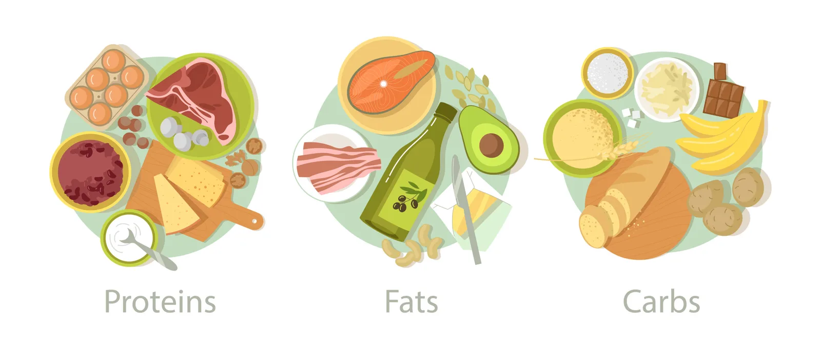 Auswertung des Stoffwechseltyps – Ernährungskurs von Birgit Venetz 4 Infografik Proteine, Fette und Kohlenhydrate mit Lebensmittelbeispielen auf farbigen Tellern