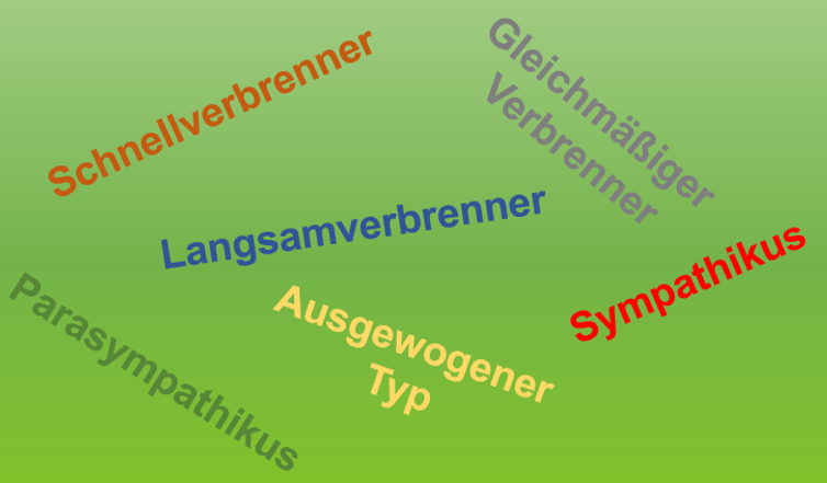 Auswertung des Stoffwechseltyps – Ernährungskurs von Birgit Venetz 8 Grafik Stoffwechseltypen auf grünem Hintergrund: Schnellverbrenner, Gleichmäßiger Verbrenner, Langsamverbrenner, Sympathikus,