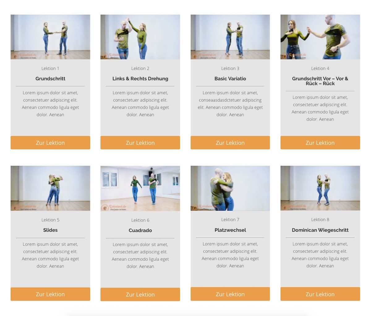 Übersicht von 8 Lektionen des Online-Kurses mit Tanzpaaren und Butons