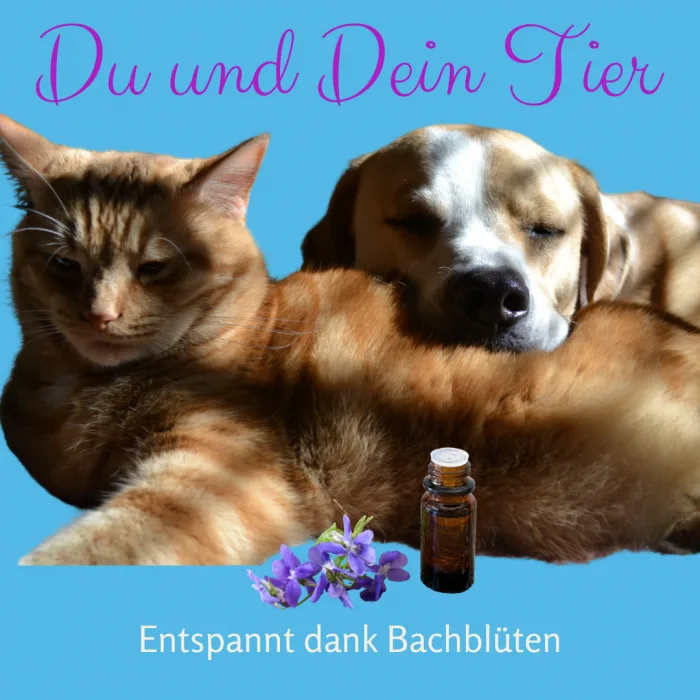 Katze und Hund mit Bachblüten-Flasche und Blüten, Text: Du und Dein Tier