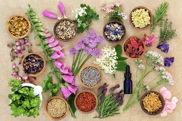 Flatlay mit getrockneten Blüten, Kräutern, Pulvern und ätherischem Öl auf Leinen