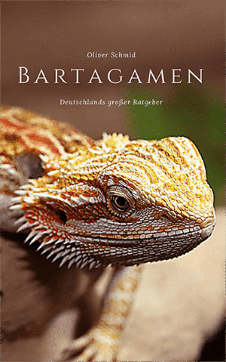 Bartagamen – Deutschlands großer Ratgeber von Oliver Schmid