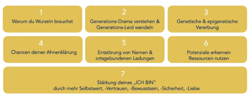 Basiskurs Inhalte mit 7 numerierten Lernmodulen in gelben Kästen