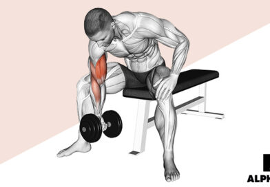 Anatomische Illustration eines Mannes bei Konzentrationscurls mit Hantel