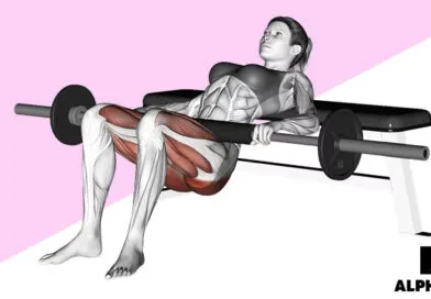 Hip Thrusts Trainingsübung für Bauch Beine Po