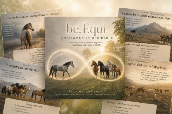 be.Equi Ankommen in der Herde – offene Broschüre mit Pferden und Textseiten