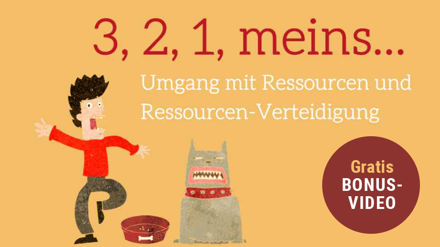 Bonus-Video-Banner mit Cartoon-Figur, Hund und Text zu Ressourcenverteidigung