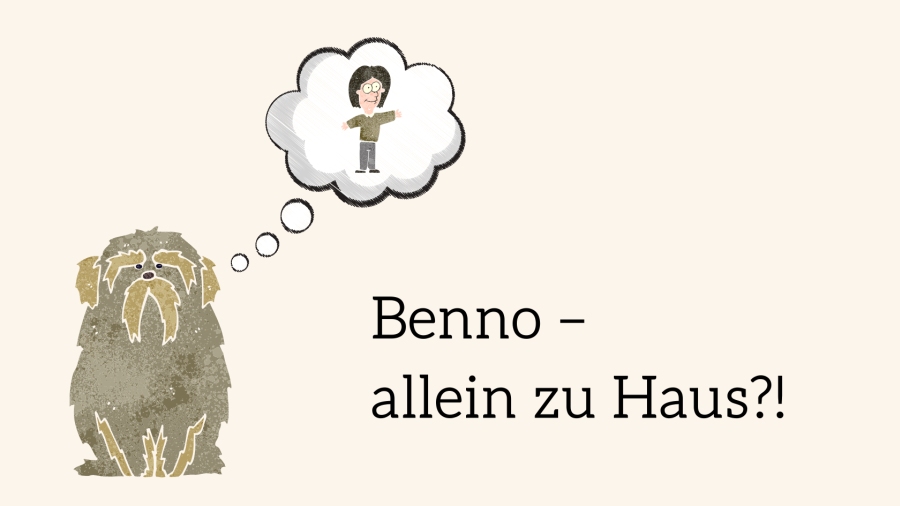 Hero-Banner zum Webvortrag Benno allein zu Haus mit Hund und Person