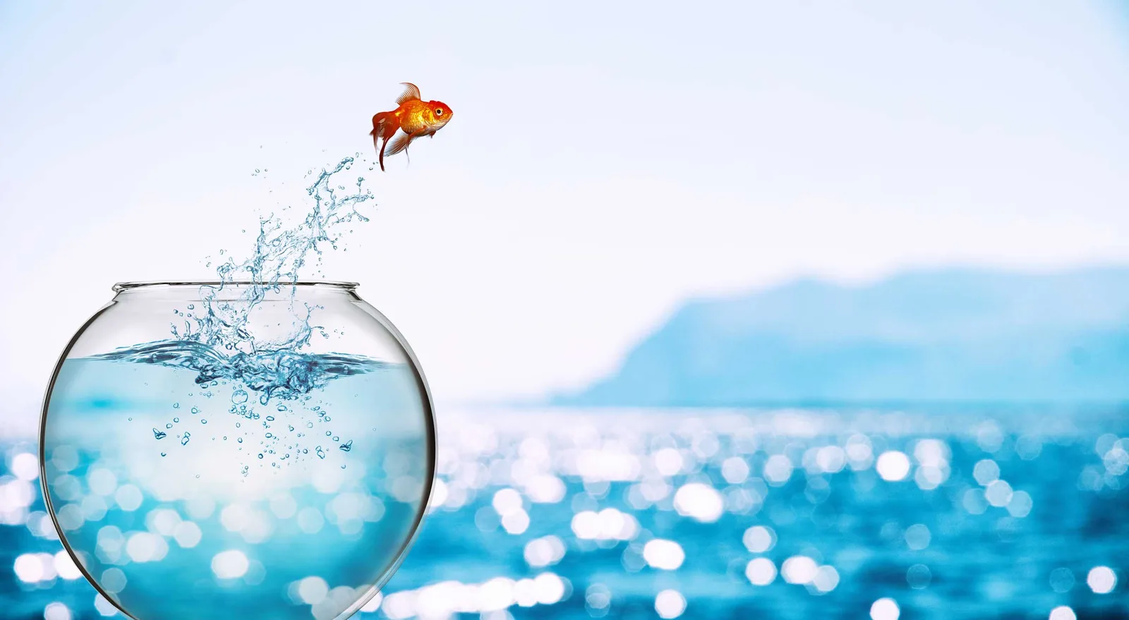 Berufliche Neuausrichtung – Videokurs zum Berufswechsel 2 Goldfisch springt aus Fishbowl mit Wassersplash, unscharfer blauer Hintergrund mit bokeh Lichtern