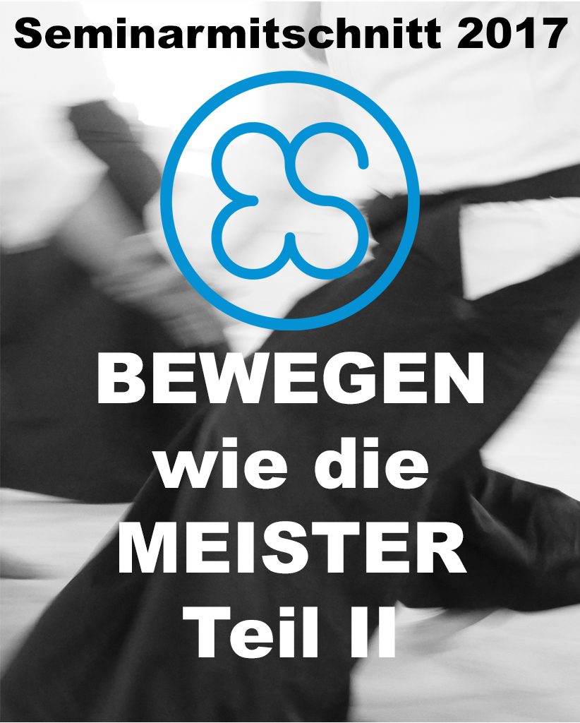 Seminarmitschnitt 2017 Cover mit blauem Logo und Text Bewegen wie die Meister Teil II