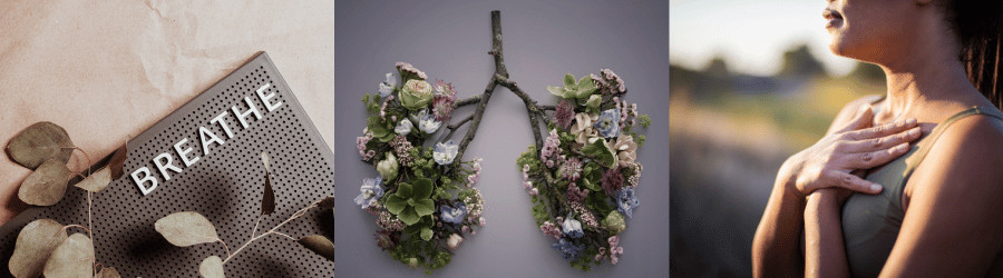 Galerie-Collage zu Atemtechniken mit Worten Breath, Lungenmodell aus Blüten, Frau bei Atemübung