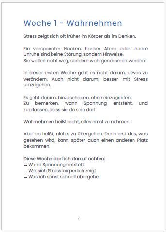 Workbook-Seite Woche 1 Wahrnehmen zur Stresswahrnehmung und Reaktionsmustern