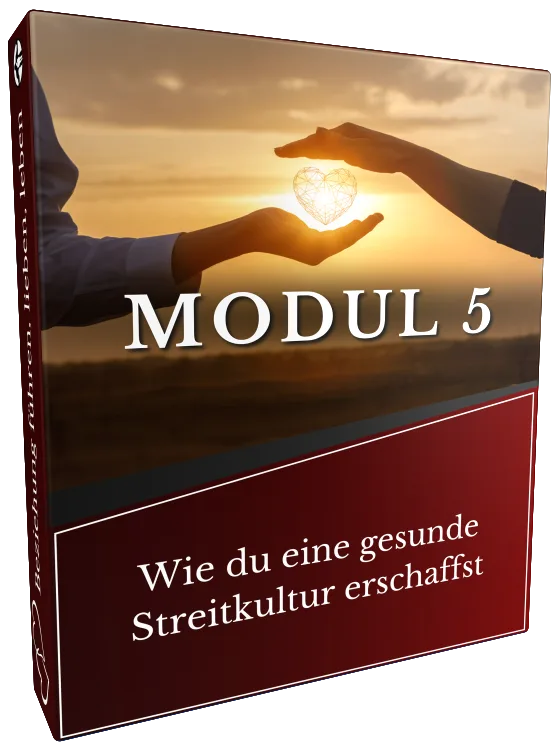 DVD-Box Modul 5 mit Händepaar hält Herzform gegen Sonnenuntergang