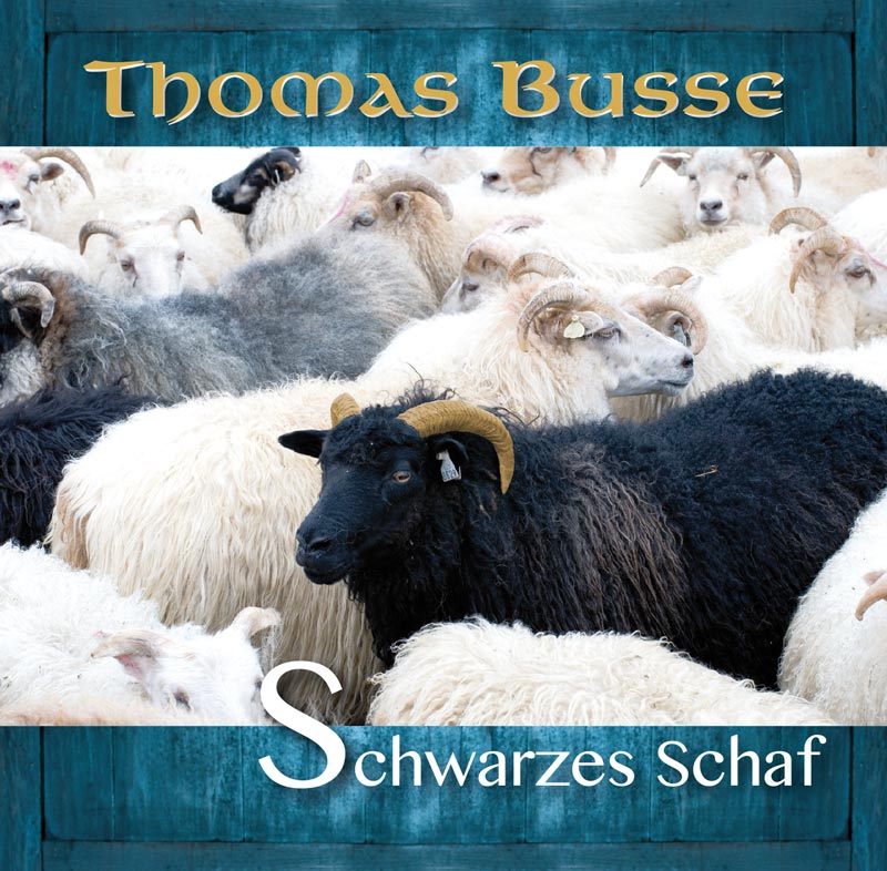 CD-Cover "Schwarzes Schaf" von Thomas Busse mit schwarzem Schaf zwischen weißen Schafen