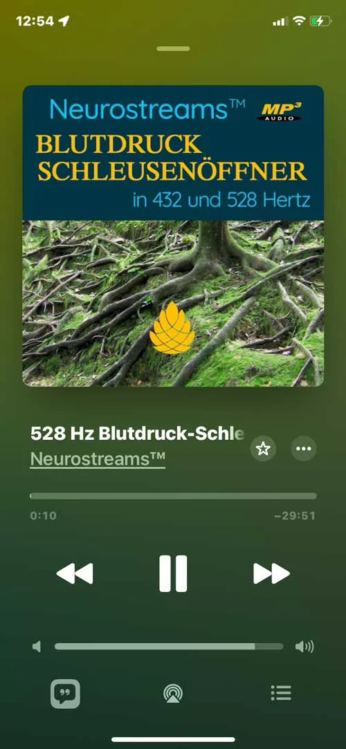 Smartphone-Screenshot des Neurostreams Blutdruck-Schleusenöffners im Hochformat