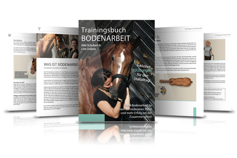 Vorschau Seiten aus dem eBook Bodenarbeit