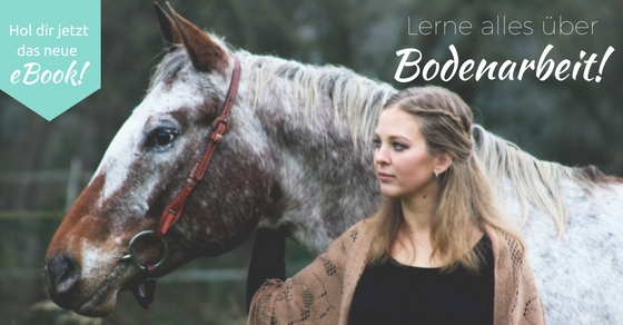 eBook-Cover Bodenarbeit von Akki Schubert und Line Dubois