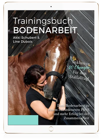 eBook Bodenarbeit auf iPad-Display
