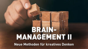 Brain-Management II Kurs von Vera F. Birkenbihl mit Holzwürfeln und Hand