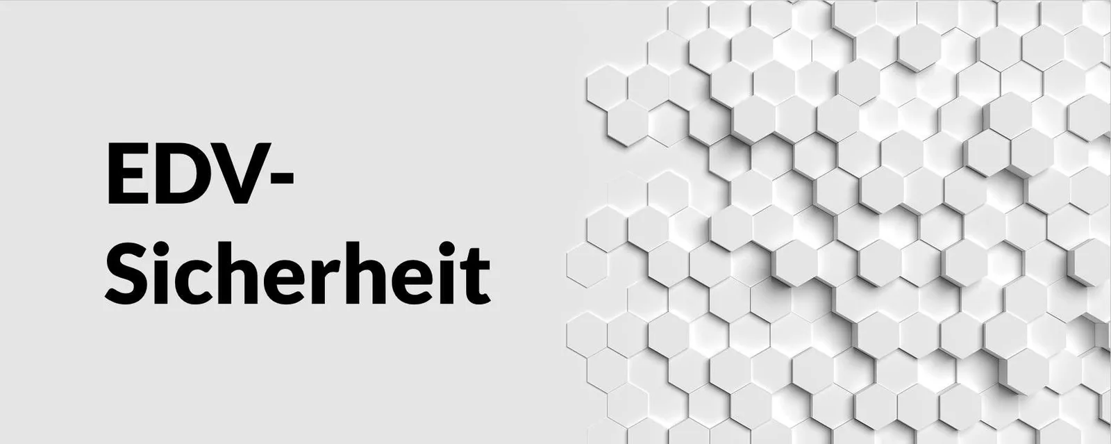 Banner zum Kurs EDV-Sicherheit mit hexagonalem Muster