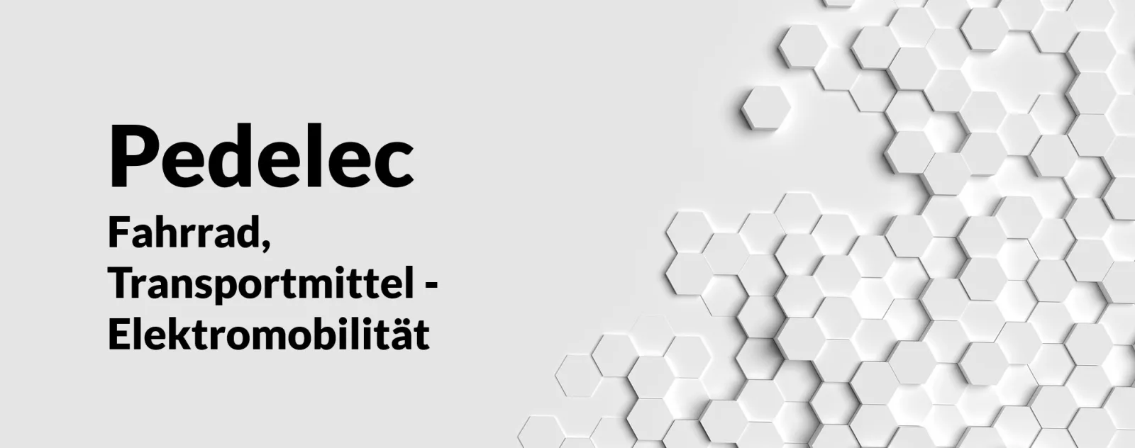 Banner zum Kurs Pedelec mit hexagonalem Hintergrund