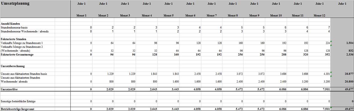 Umsatzplanungs-Tabelle mit Monats- und Jahresberechnungen für 12 Monate im ersten Jahr