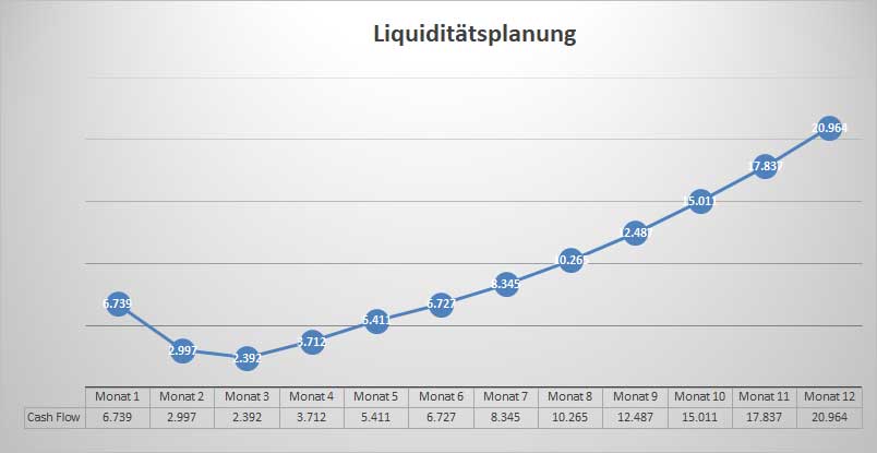 Liquiditätsplanungs-Liniendiagramm Businessplan Handelsvertreter mit Cash-Flow-Entwicklung über 12 Monate
