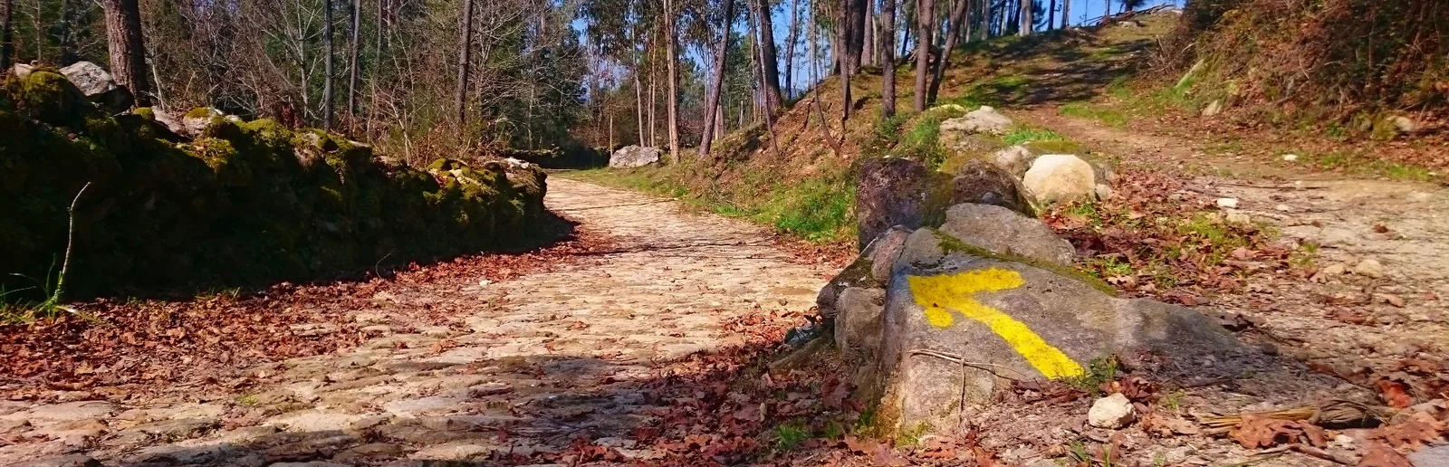 Waldweg mit Pilgerpfad, gelbem Richtungspfeil auf Stein und Felsformationen