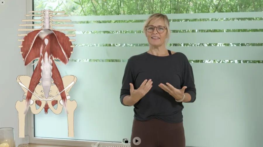 Frau mit Brille vor anatomischer Zeichnung der Bauchmuskulatur und des Beckens erklärt CANTIENICA® Methode