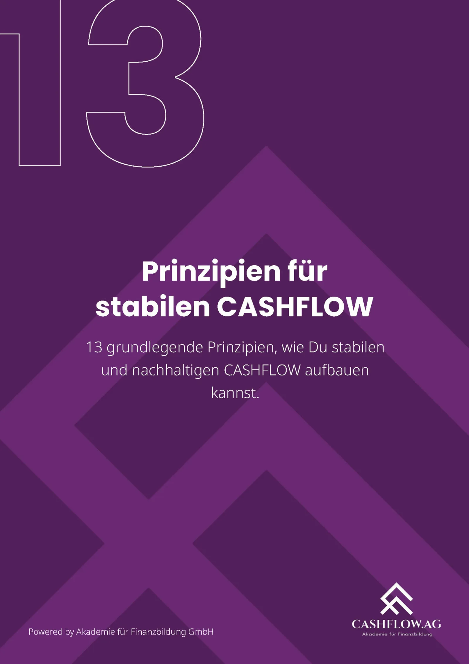 Cover mit großer Zahl 13 und Text 'Prinzipien für stabilen CASHFLOW' auf purpurfarbenem Hintergrund mit geometrischen Mustern