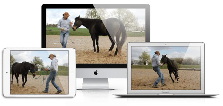 Videokurs Mockup mit iPad, Smartphone und Desktop zeigt Thomas Günther beim Training mit Pferden