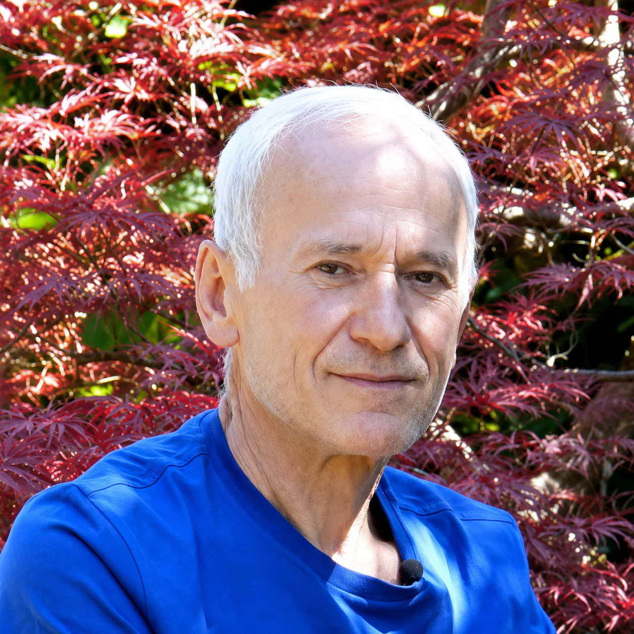 Chlorophyllkongress – Videokongress über Blattgrün von Maria Kageaki 25 Markja Petrit, älterer Mann mit weißem Haar in blauem Pullover vor roten Blättern