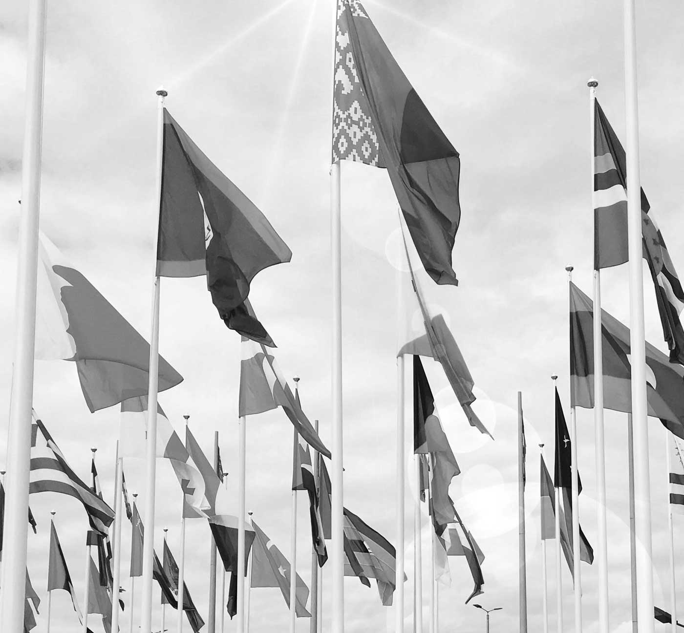 Schwarzweiß-Foto von wehenden Nationalflaggen verschiedener Länder