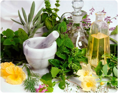Mortar und Stößel mit frischen Kräutern, Blumen und natürlichen Ölen
