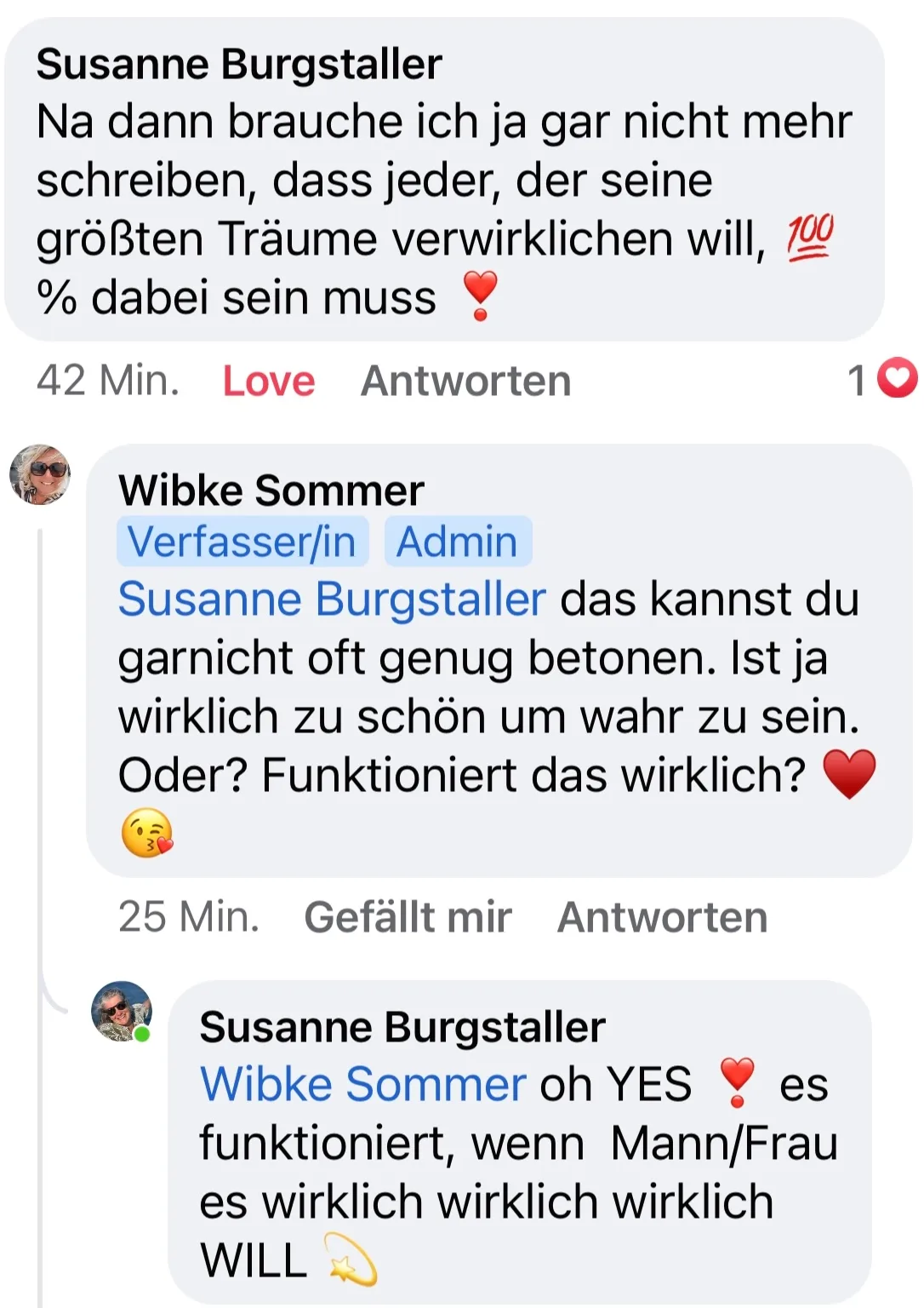 Facebook-Dialog zwischen Susanne Burgstaller und Wibke Sommer über Traumverwirklichung