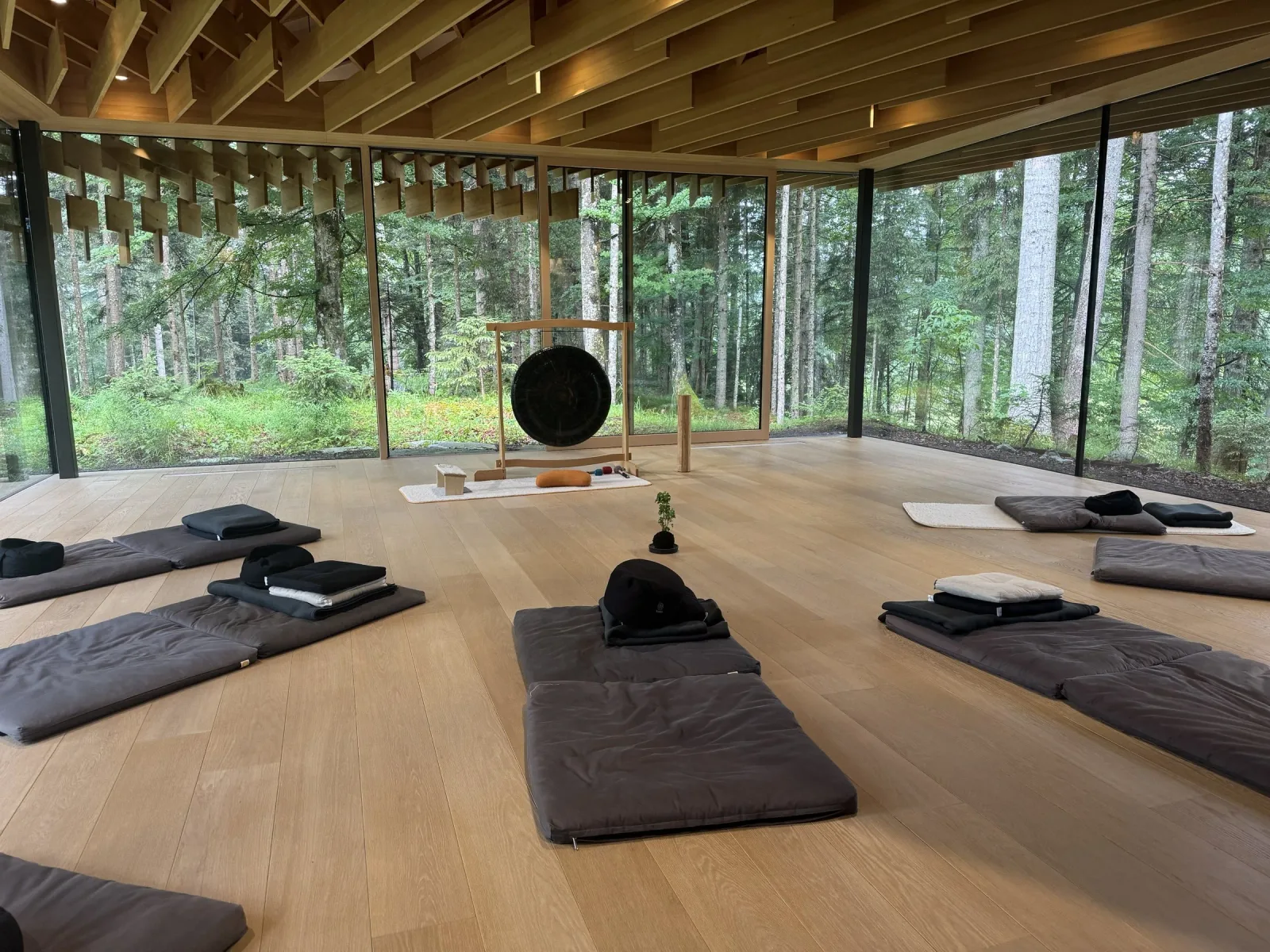 Großer Holzraum mit Glasfronten, Gong auf Ständer, Meditationsmatten, Waldblick