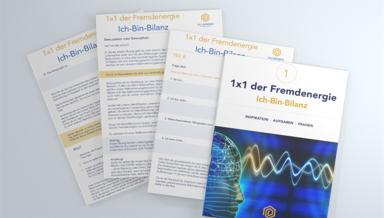 Materialien des Kurses "1x1 der Fremdenergie" mit Workbook und Unterlagen auf weißem Hintergrund