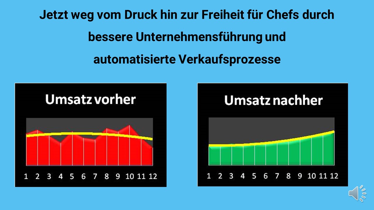 Das erfolgreiche Verkaufsgespräch – E-Book für Vertriebsprofis 5 Webinar-Standbild mit Balkendiagrammen zeigt Umsatz vorher und nachher in rot und grün
