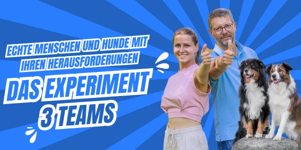 Hero-Banner für Das Experiment Live-Online-Kurs mit Nancy und Kai sowie zwei Hunden